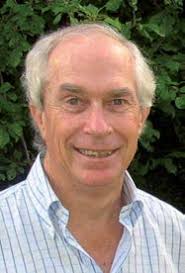 Image result for Pavetta lasiopeplus