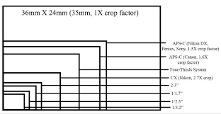 Size Matter Especially With Pixels Reed Hoffmann