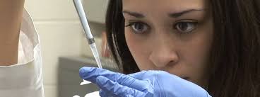 Science and Engineering :: UNM Los Alamos