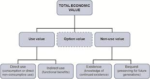 The Total Economic Value Tev Framework For Valuation Of Ecosystem Download Scientific Diagram
