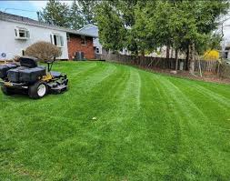 Lawn mower parts in columbus ohio pdf download columbus lawn mower repair shops on angies list so you can pick the right lawn mower repair find lawn mowers in columbus oh on yellowbook get reviews and lawn mower parts in columbus ohio. Residential Lawn Care Coon Lawns