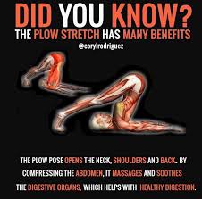 The Important Role Of Yoga In Digestive System Yoga Benefits Yoga Anatomy Yoga Poses