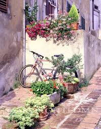 Here in puglia, we've had one night with heavy rain, some wind and clouds, but there have also been lovely. Bike Among The Flowers Italy 01 Fine Art Photography