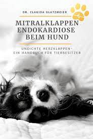 Wasser In Der Lunge Was Bedeutet Das Genau Tiermedizin Simplified