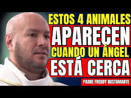 manuel Martell ( pista ) nueva esperanza