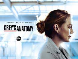 Watch grey's anatomy season 17. Watch Grey S Anatomy Season 17 Prime Video