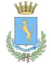 Bando Concorso Idee rev2. 2.0 del 10 luglio 2017