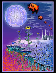 Image result for Pink 1977 Amana