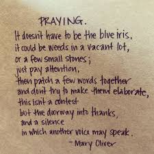Praying By Mary Oliver Mary Oliver Poems Mary Oliver Quotes Prayer Quotes