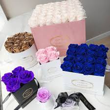 Maybe you would like to learn more about one of these? Venus Et Fleur Flowers Review Must Read This Before Buying
