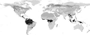 These moist forests are found between the tropics of cancer and capricorn. 1 Global Distribution Of Tropical Rainforest Black In 2003 Map Download Scientific Diagram