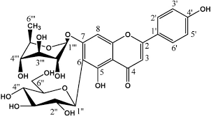 Image result for Erythrina sacleuxii