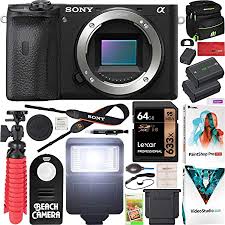 Reviews editor paul ip took the first press trip for the sony a6600. Amazon Com Sony A6600 Mirrorless Camera 4k Aps C Body Only Interchangeable Lens Camera Ilce 6600b With Deco Gear Case Extra Battery Flash Wireless Remote 64gb Memory Card Software