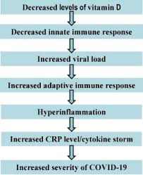 Overt vitamin d deficiency, characterized by hypocalcemia and/or hypophosphatemia and rickets and osteomalacia in children and osteomalacia in adults, is now un. The Role Of Vitamin D In Reducing Sars Cov 2 Infection An Update Sciencedirect