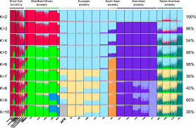 You can trace the design or use transfers. Patterns Of African And Asian Admixture In The Afrikaner Population Of South Africa Bmc Biology Full Text