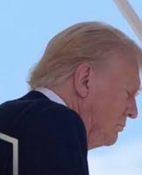 Imogen Johnston's Instagram, Twitter & Facebook