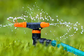 As temperatures rise, the grass plants require more water to stay hydrated. Drought Recovery Plan For Parched Lawns Premier Lawns