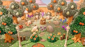 Amilyn On Twitter Fairy Circle Rock Garden Acnh Acnhideas Acnhinspo Animalc Animal Crossing Wild World Animal Crossing Rock Garden Animal Crossing