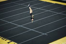 115 WLU Student-Athletes Honored by MEC