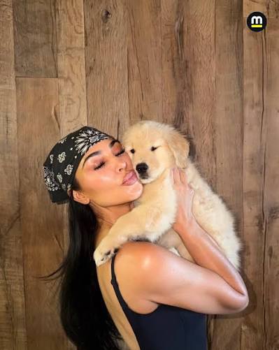 Lewis gets a new puppy 🐶🐾 #scuderiaferrari #lewishamilton 🇬🇧 VIA: [gpfans]