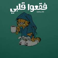 هههههههههههه اه والله funny arabic quotes funny picture quotes iphone wallpaper quotes love