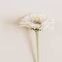 Profile Picture of Fallon Roberts and Jian Keil's Wedding Website - The Knot (@theknot.com) on Google