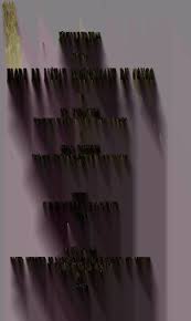 Image result for Hydrostachys bismarckii