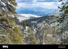 Verschneite Landschaft im Troodos-Gebirge in Trodoos, Zypern, Europa |  Snowy winter landscape of the Troodos Mountains in Trodoos, Cyprus, Europ  Stock Photo - Alamy