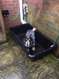 Skip the suds and the wet mess of bathing your dog in the kitchen sink or bath tub, and come use a pet wash station at tractor supply! 32 Best Outdoor Pet Washing Station Ideas Dog Washing Station Pet Washing Station Dog Wash