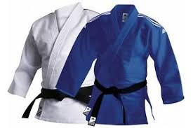 Details About Adidas Training Judo Suit Uniform Blue White Adult Kids 500g Judo Gi J500