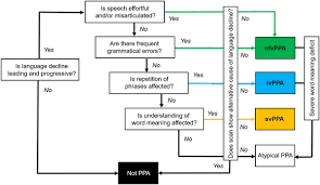 Primary Progressive Aphasia A Clinical Approach Springerlink