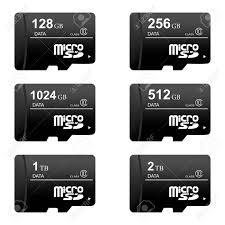 Set Of Black Digital Sd Memory Cards Of Different Sizes On A