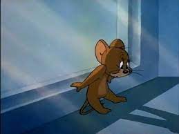رياكشن توم وجيري cartoon wallpaper tom and jerry cartoon tom and jerry pictures