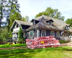 Experte sagt, sie ist „die disruptivste aktie der welt! Von Wisenten Oder Der Letzte Urwald Europas In Belarus Und Polen Ostraum