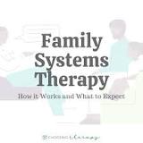 Image result for what therapist cautions against joining the family system during the course of therapy?