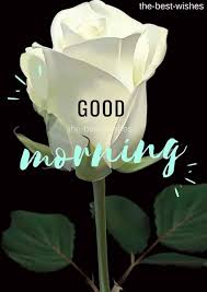 Pin On Good Morning Wishes
