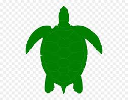 Check spelling or type a new query. Free Printable Turtles Coloring Hd Png Download Vhv