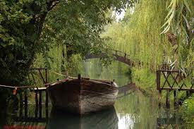 Free Wallpaper For Computer Natural Beautiful Hd Wallpapers Italy Photo Beautiful Places Weeping Willow