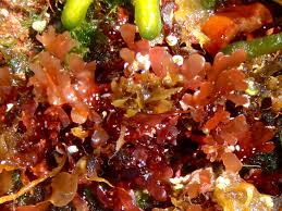 Image result for Microcoelia physophora