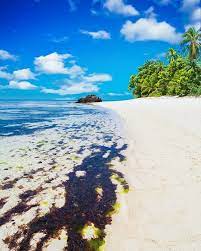Fiji S Secluded Beaches Not Many Places Can Top The Beauty Of Fiji With Crystal Clear Blue Waters Fine White Sand And Zero Cr Secluded Beach Beach Beach Trip