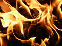 Maybe you would like to learn more about one of these? Backyard Burn Off Warning On The Spot Fines Possible