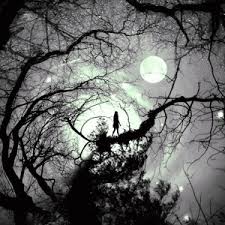 Ruyada Adet Kaninin Elbiseye Bulastigini Gormek Ruyam Hayir Mi