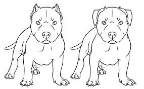 Pitbull Line Art Pitbull Drawing Dog Drawing Pitbull Art The most important thing, drawing a mandala is a creative process and if you feel like going outside of a regular wireframe it's perfectly fine, there is no. pinterest
