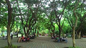 Walking around sm city ecoland davao. 10 Reasons Why You Should Visit Davao City Tripzilla Philippines