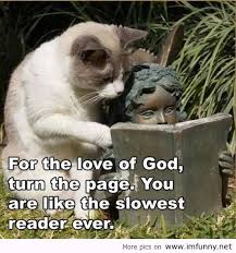 Funny Quotes About Zoo Animals : Best Funny Quotes and Sayings ... via Relatably.com