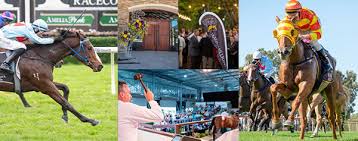 Magic millions 2021 yearling sales nominations close friday 14 august 2020. 2021 Magic Millions Perth Online Breednet