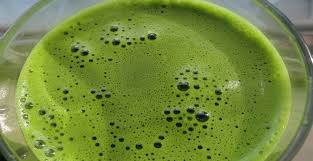 Today i make cactus juice from avatar the last airbender, the how to stabilize wood with cactus juice and why? Green Juice Yummy Green Juice Green Juice Smoothie Green Juice Recipes