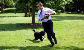 Michelle obama shared a heartbreaking tribute to family dog bo on saturday, sharing that the dog the obamas welcomed bo into their family in 2009 shortly after barack obama's first presidential. Nb Bmeg Smt0 M