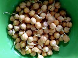 How To Sprout Chickpeas Or Garbanzos