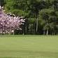 Dunblane New Ladies Senior 3 Person Scramble event image